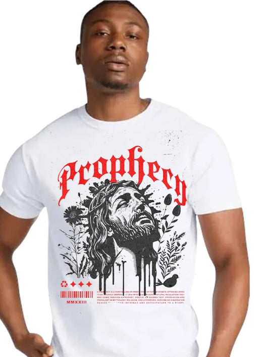 understanding prophecy