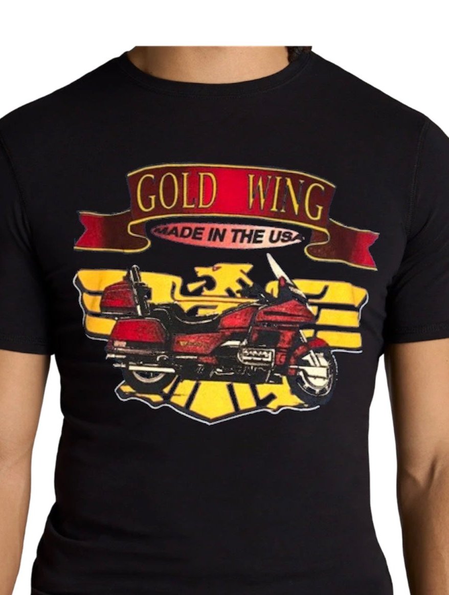 Goldwing Rider